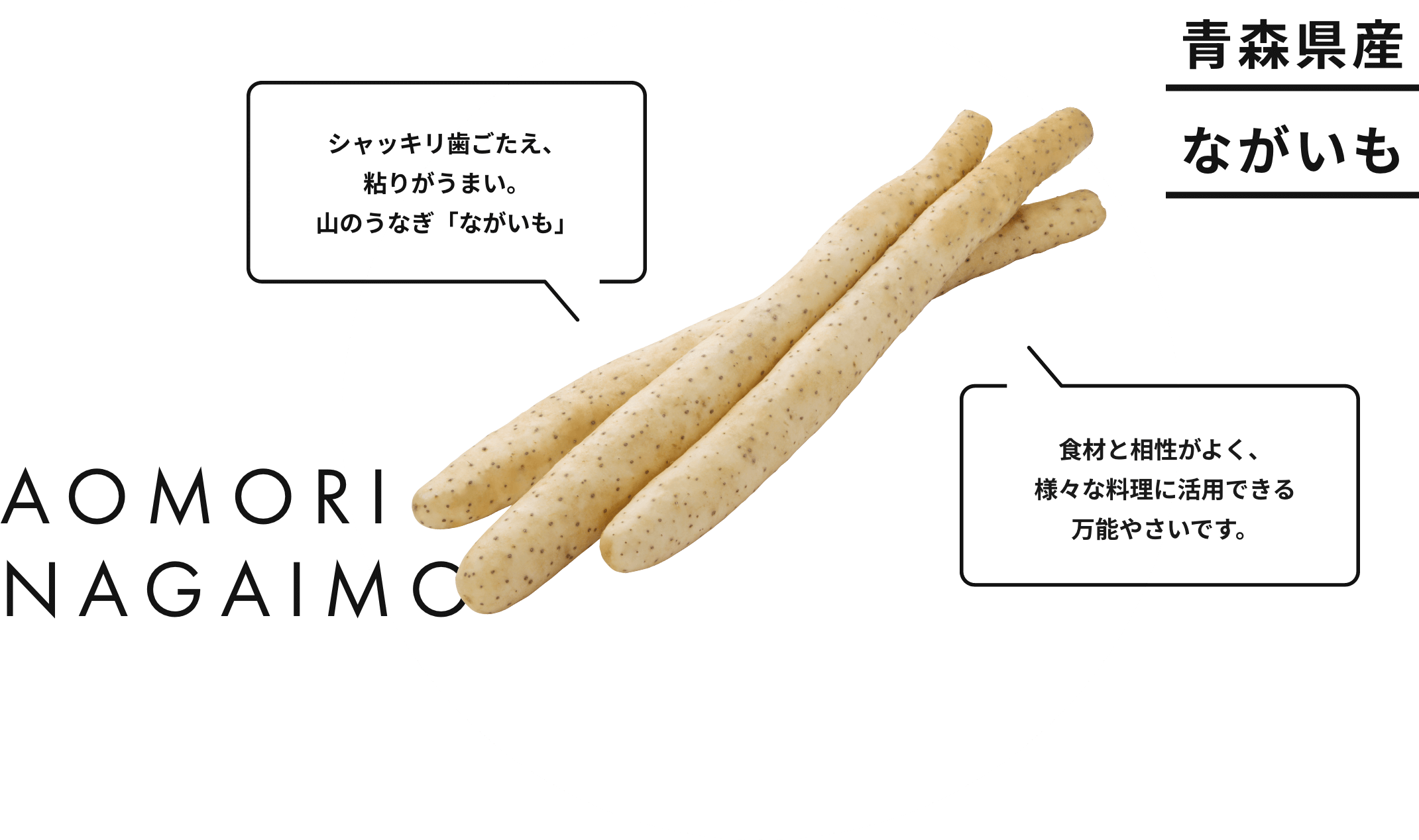 青森県産ながいも